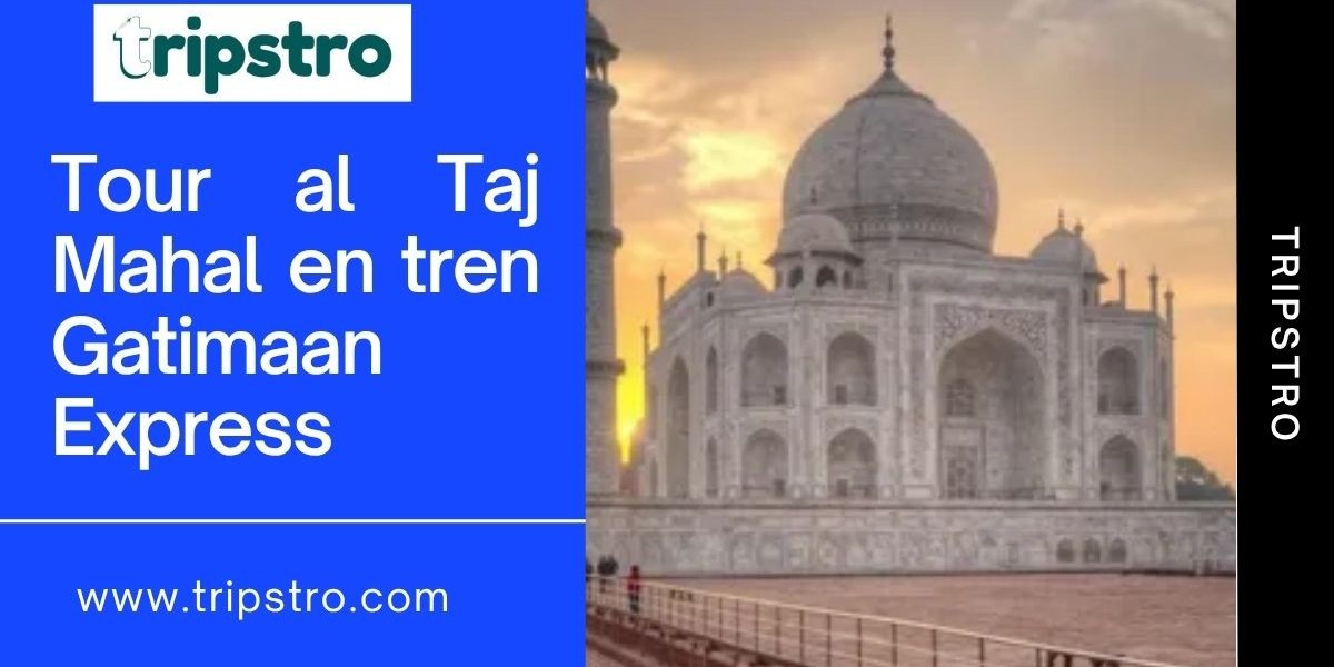 Viaje Rápido y Cómodo: Desde Delhi Tour el Mismo Día a Agra en Tren Gatiman Express