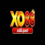 CEO Thanh Mỹ Profile Picture