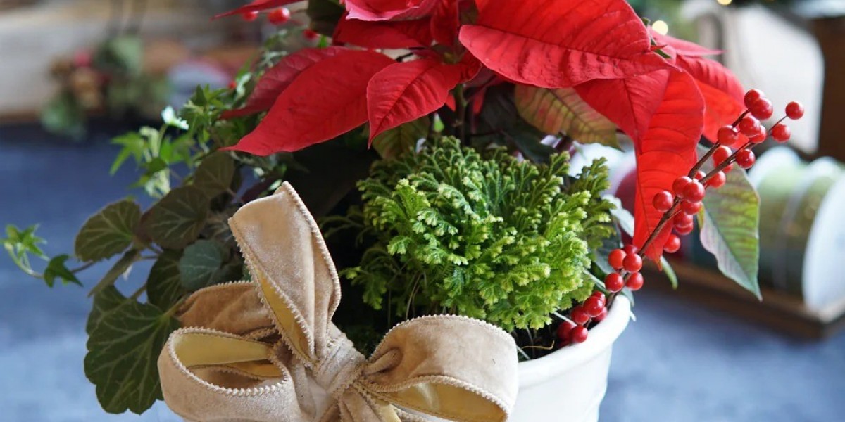 Seasonal Blooms and the Evolution of a Johns Creek Florist