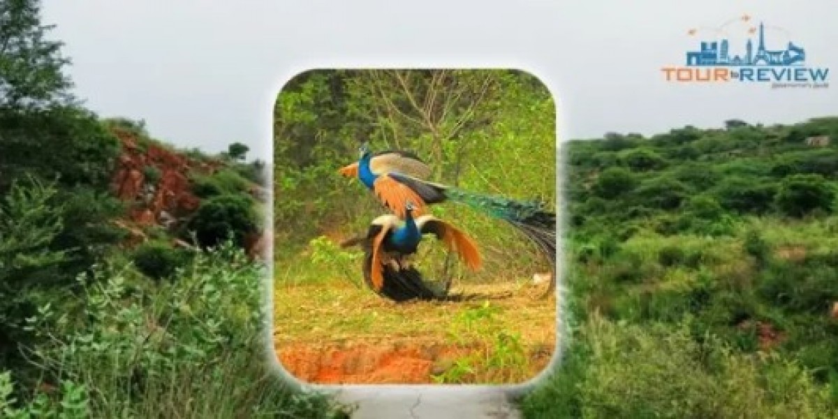 Aravali Biodiversity Park Gurgaon: A Green Escape in the Heart of the City