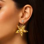 western earrings Profile Picture