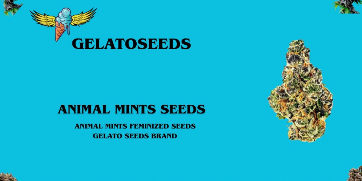 Animal Mints Seeds | Premium Cookie x Blue Power Genetics