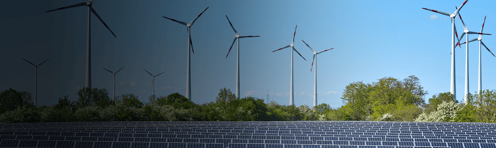 India’s Sustainability Journey: Renewable Energy to Net Zero