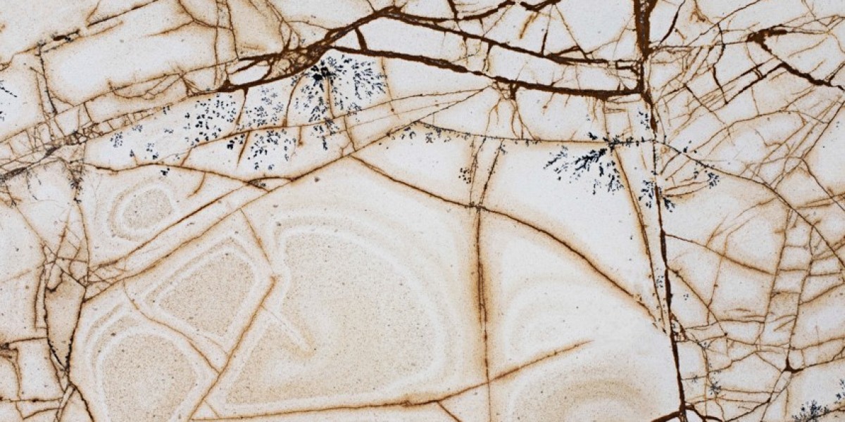 Marble Wall Panels for Luxurious and Lasting Interior Design