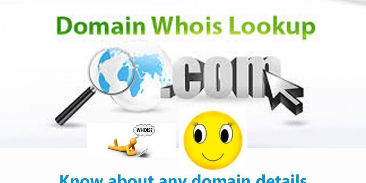 Domain Lookup Explained: Discover Domain Details in Seconds