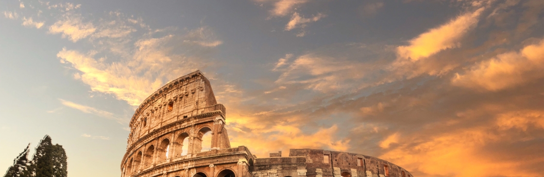 tripand stays Cover Image