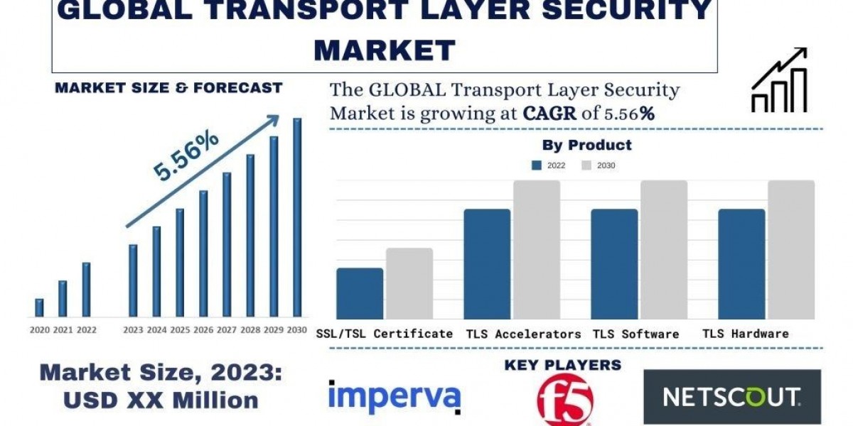 Transport Layer Security Market Size, Growth, Trends, Forecast (2024-2032)