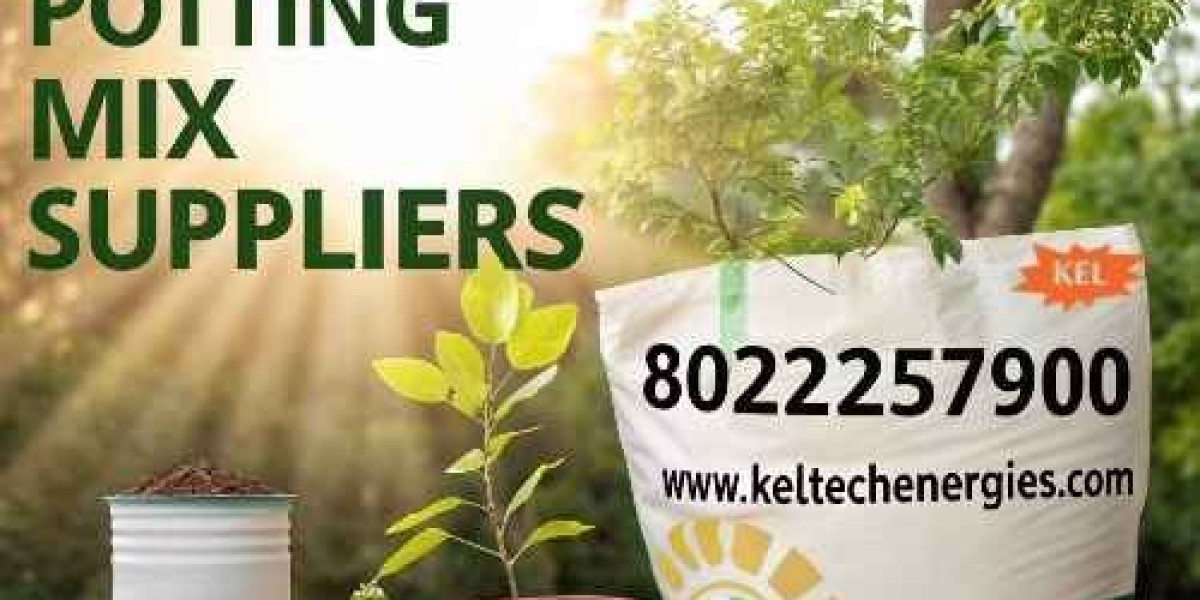 Trusted Indoor Gardening Soil Suppliers for Home Gardeners