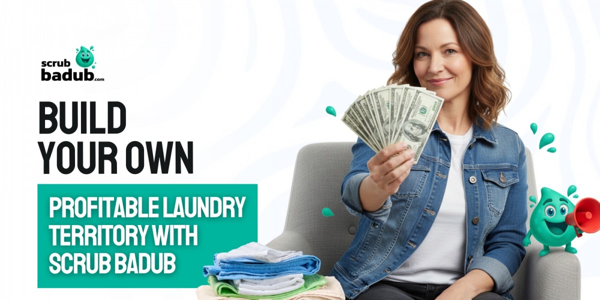 Scrub BaDub vs. Rinse: One Runs Like a Polished Corporation. The Other Runs Like a System That Actually Adapts.