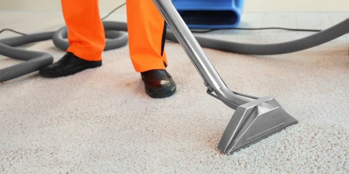 Carpet Cleaning Services Ideal for Busy and Active Homes