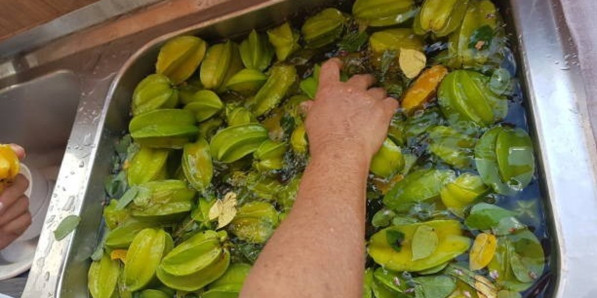 Prefeasibility Report on a Starfruit Processing Plant Project Setup Cost and Expanses