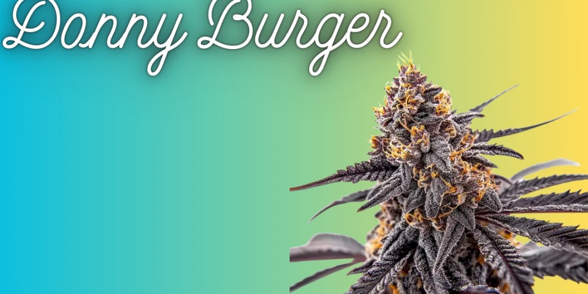 Donny Burger OG Seeds | Grow the Ultimate Savory Hybrid