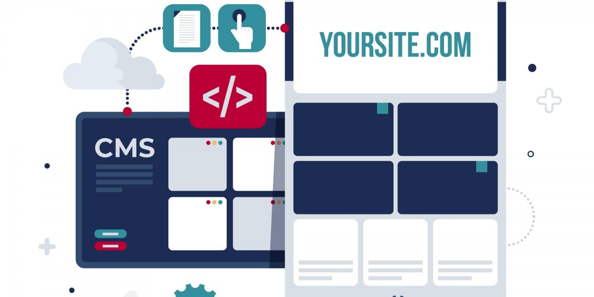 Dignizant – Professional Web Portal Development Services