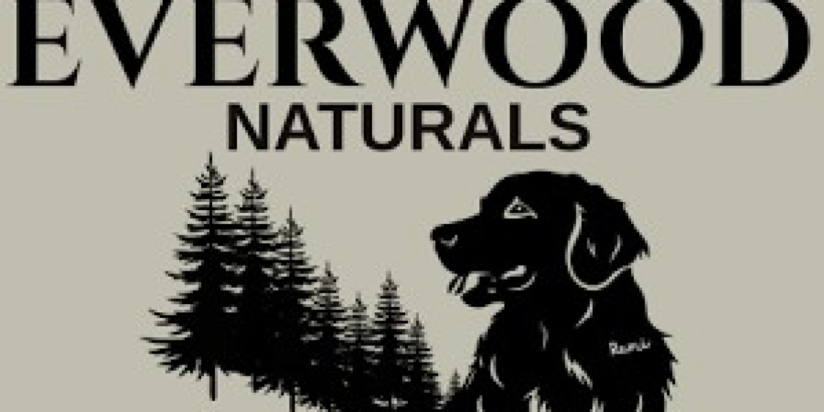 Premium Dog Supplements: A Complete Guide to Supporting Your Dog’s Health Naturally