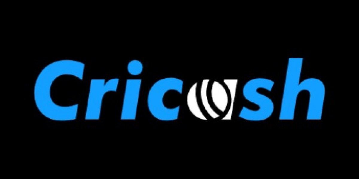 Cricash Online Experience Built for Simplicity and Reliability