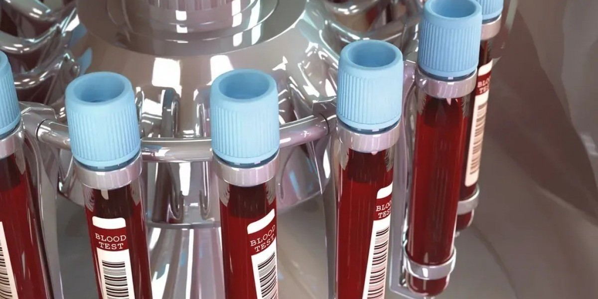 Liver and kidney blood results