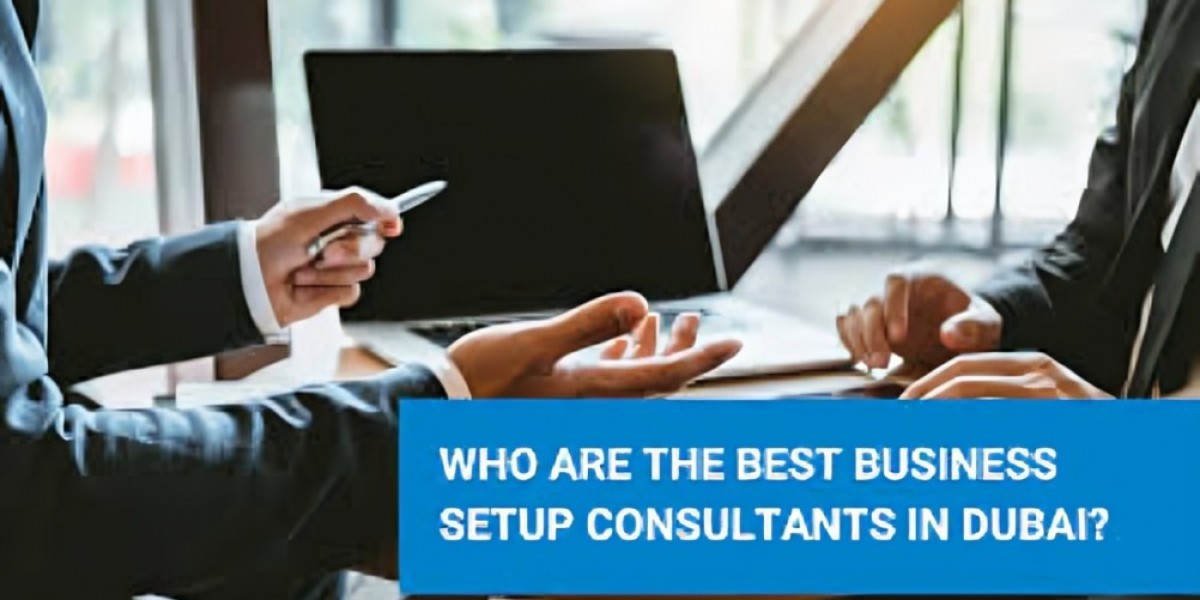 8 Questions to Ask Your Consultant Before Starting a Company