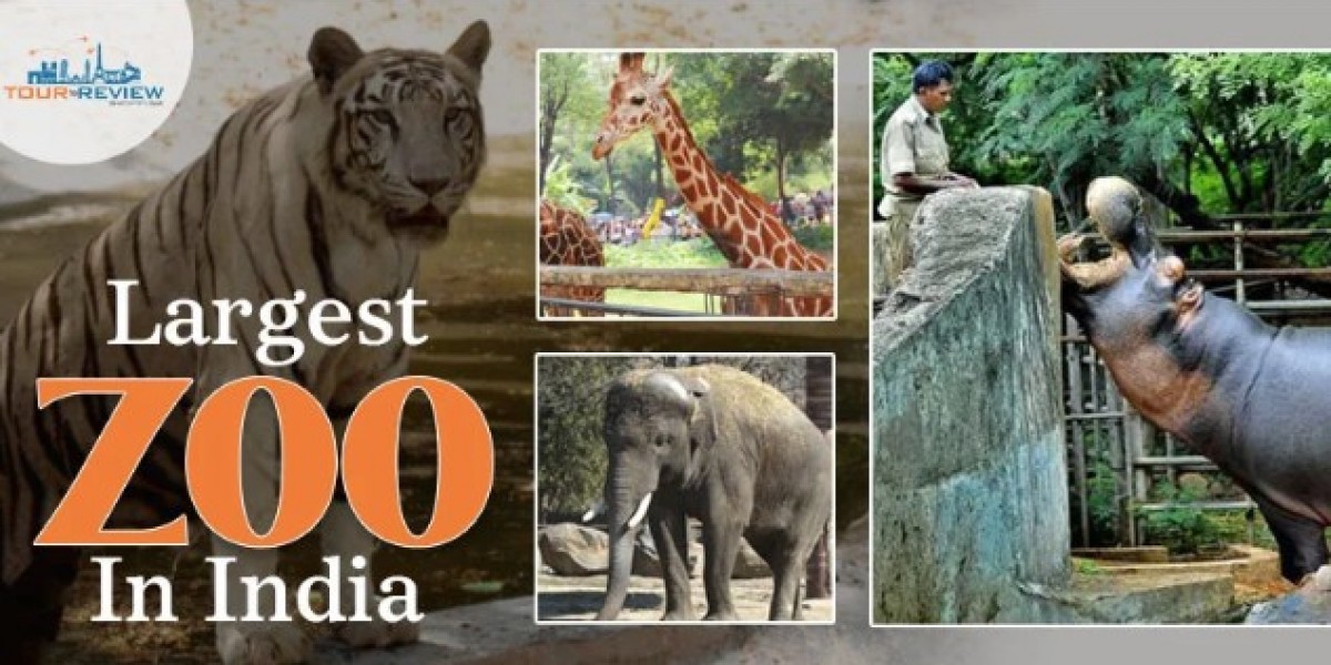 Step Into the Wild: Experience India’s Grandest Zoo Adventure
