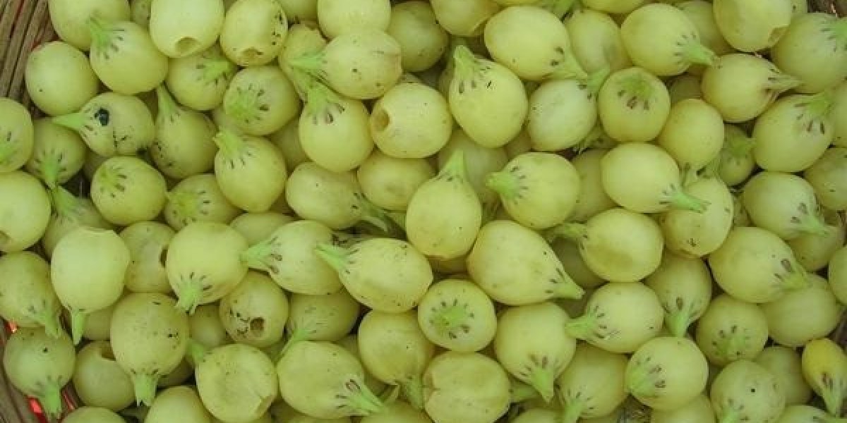 Business Plan to Setup a Liquor from Mahua Flower Manufacturing Plant: Project Report 2026