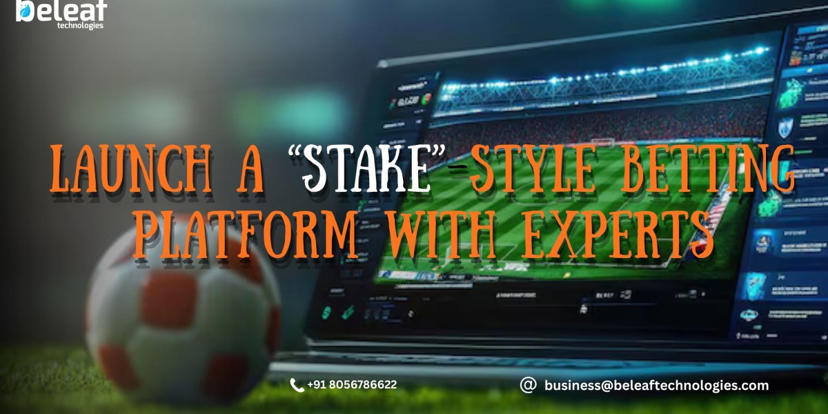 No Tech Team? No Problem – Launch a Stake-Style Betting Platform with Experts