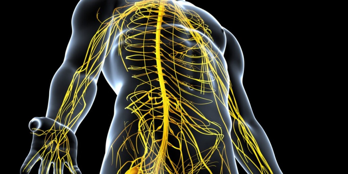 Gabatop 800mg: How It Works in the Nervous System for Nerve Pain Relief