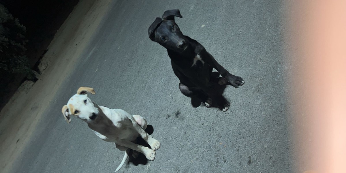 77 Studios | 77 Studios Clothing Sale | 30% Off