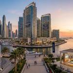 Modcasa modcasa Profile Picture