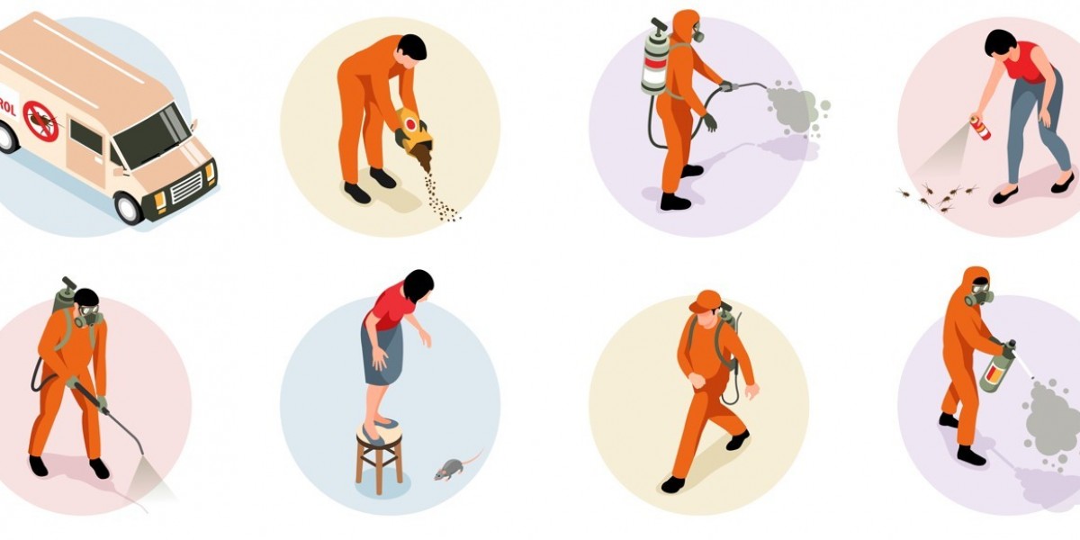 Termite Exterminator Services: Professional Treatment for Lasting Control