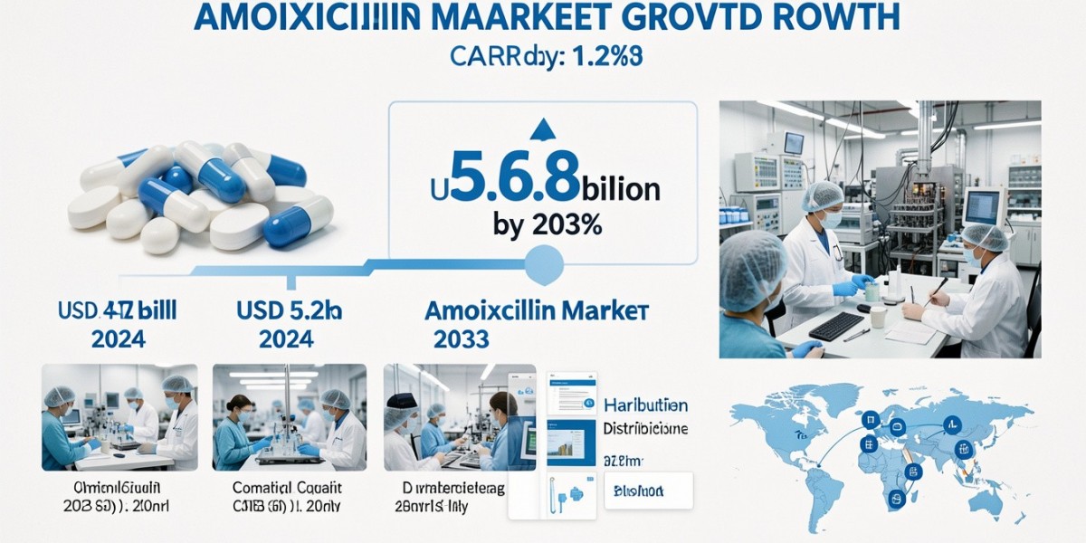 Amoxicillin Market Outlook 2024–2033