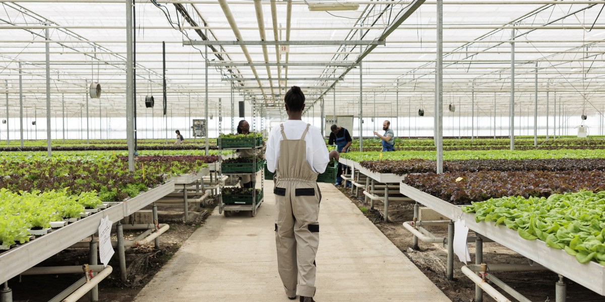 Controlled Environment Agriculture Market Outlook 2024–2033