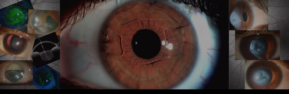 Dr Vikas Veerwal Cover Image