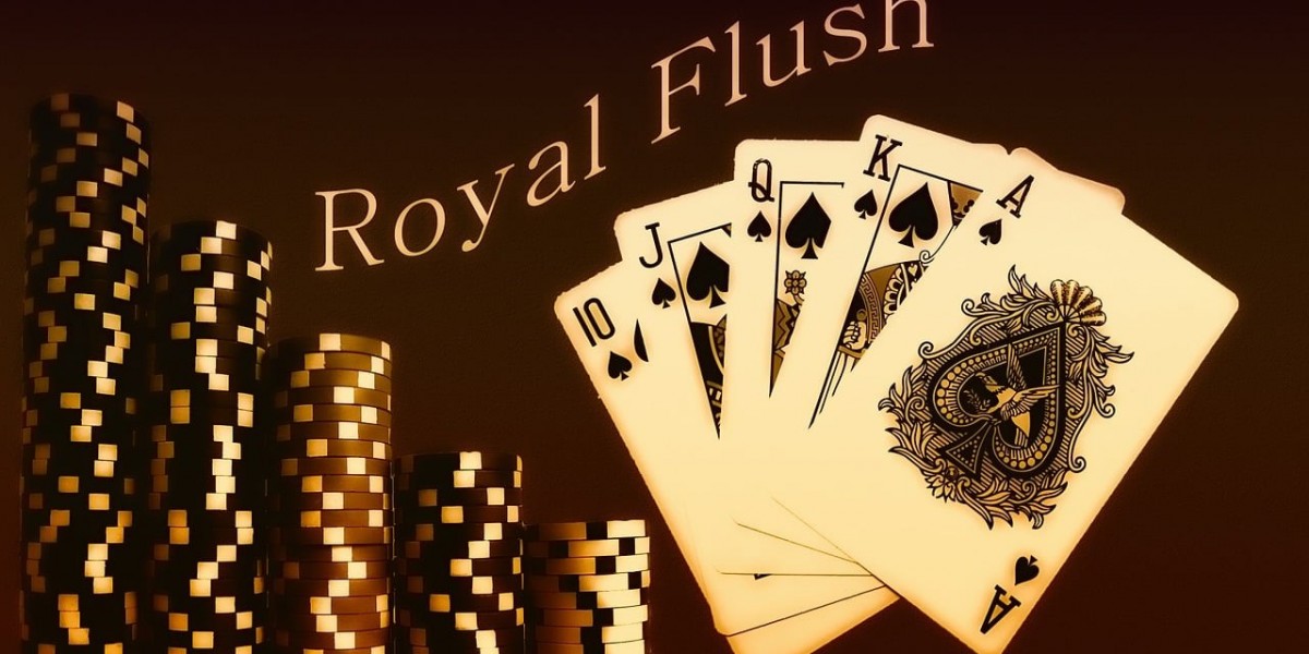 La evolución del perfil del jugador de casinos en línea en 2025: Un estudio sobre las preferencias y comportamientos de 
