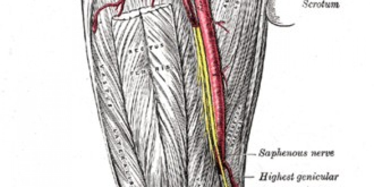 Genicular Artery Embolization Cost in India: Complete Patient Guide