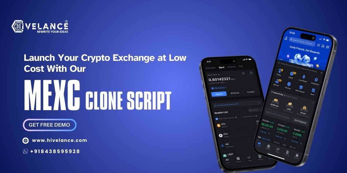 MEXC Clone Script vs Custom Exchange Development – Which Is Better?