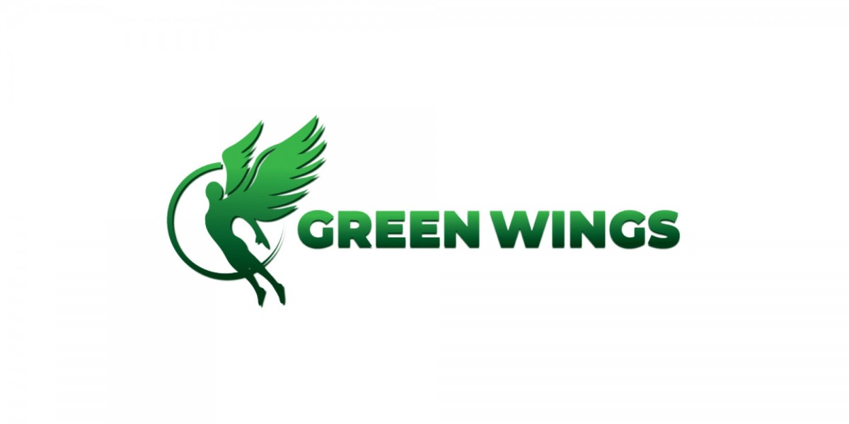 Reclaiming Your Vitality: Holistic Wellness Programs in Malaysia at Green Wings Recovery Centre