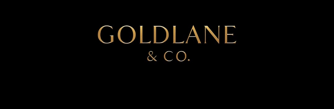 Alisa John Cover Image