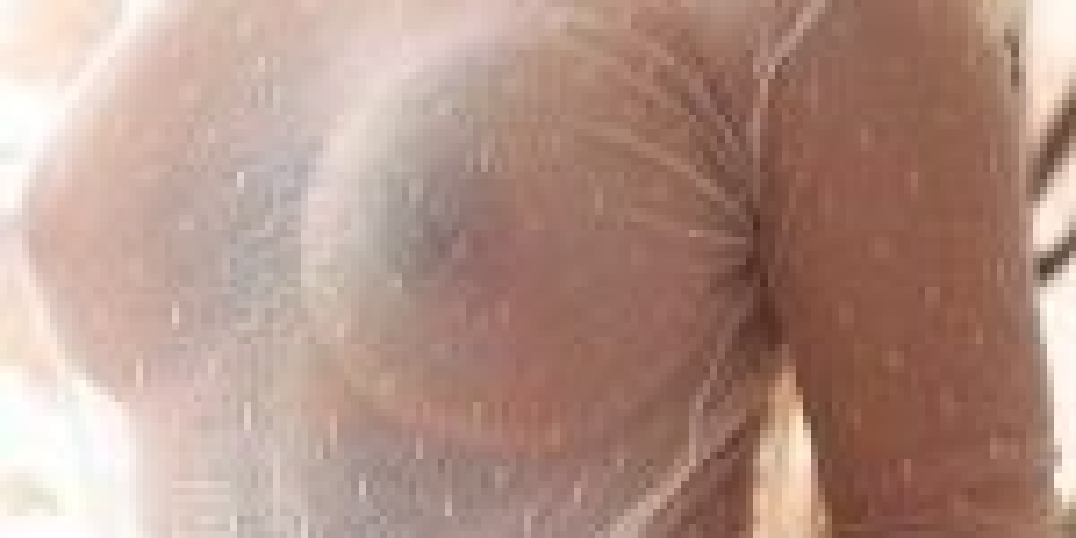 Jawhar Escorts: A Complete Guide to Professional Companionship