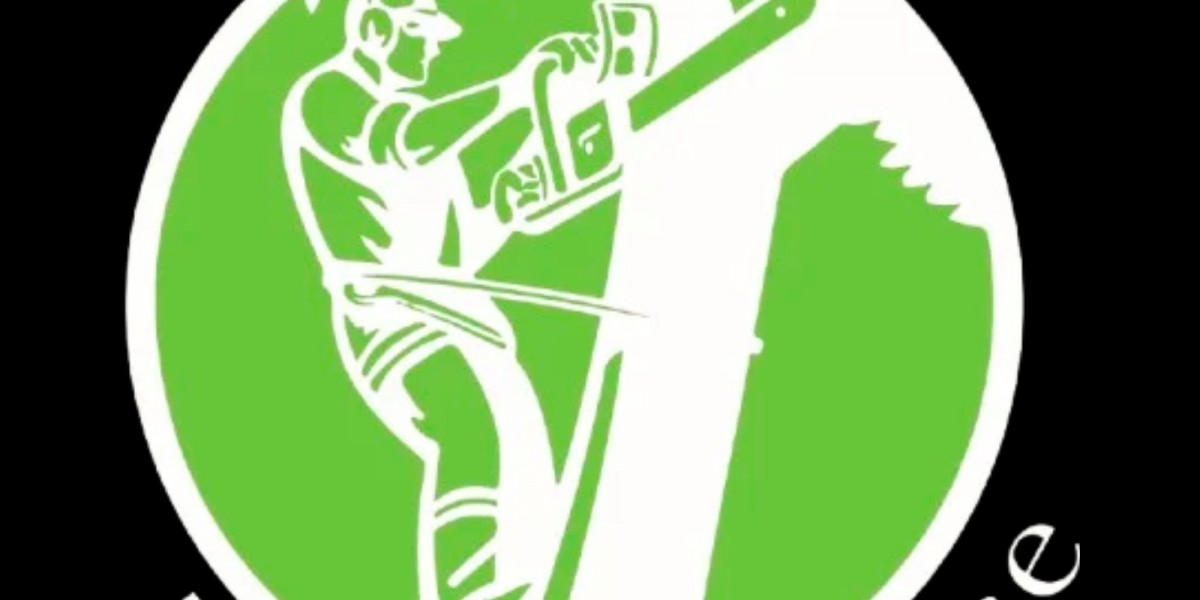 Chesapeake VA Tree Care Experts for Safe Removal