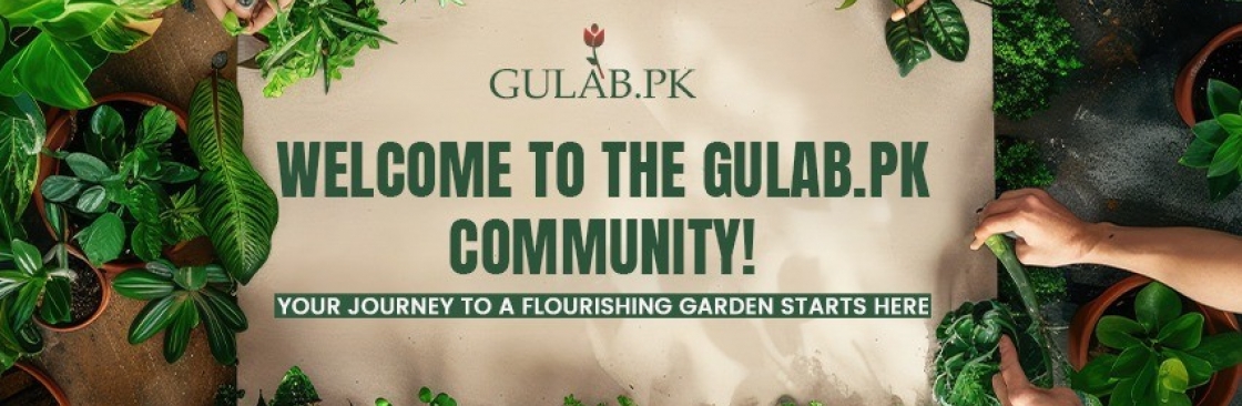 Gulab PK Cover Image