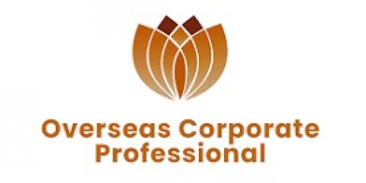 File in USA Corporate Tax Return with the Help Of OCPBIZ