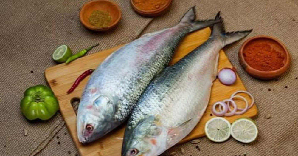 The Smart Way to Enjoy Fresh Seafood at Home in Dubai