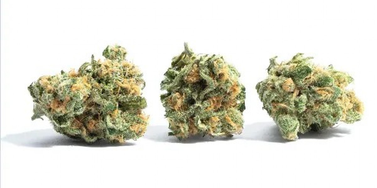 Mac 1 Strain: A Complete Guide to MAC1 Weed in the UK