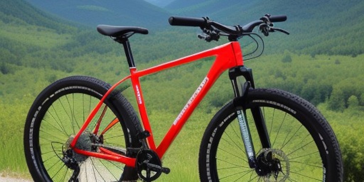 Gravel bike