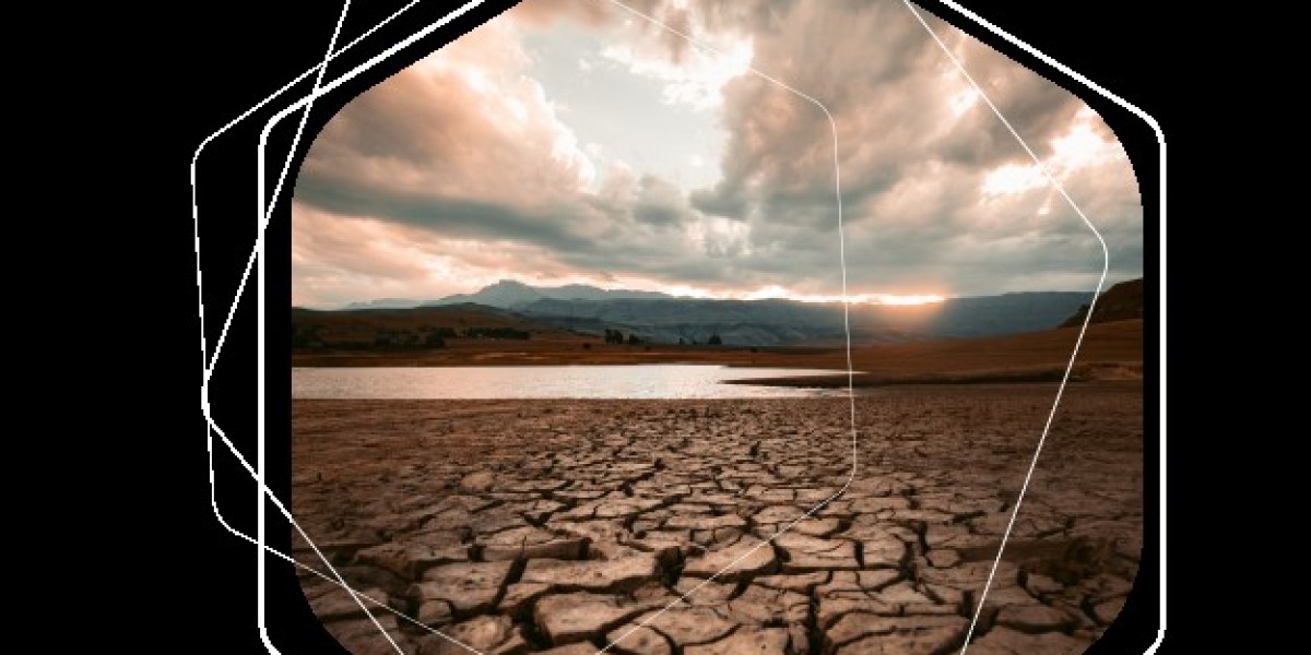 Financial Climate Risk Analytics (Correntics): Managing Physical and Transition Risks