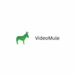 videomule Profile Picture