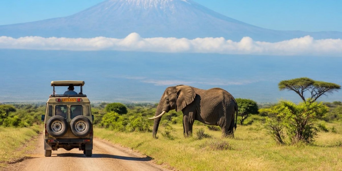 Nairobi to Mombasa Safari Journey: Best Time, Routes & Attractions