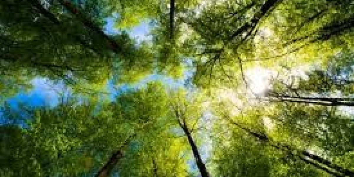 Water: The Lifeblood of Earth and Human Civilization