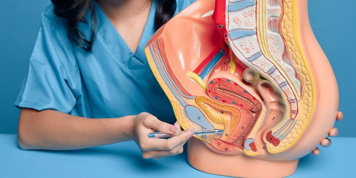 Overactive Bladder Treatment: Causes, Symptoms, and Effective Solutions