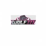 Wolf 777 Profile Picture