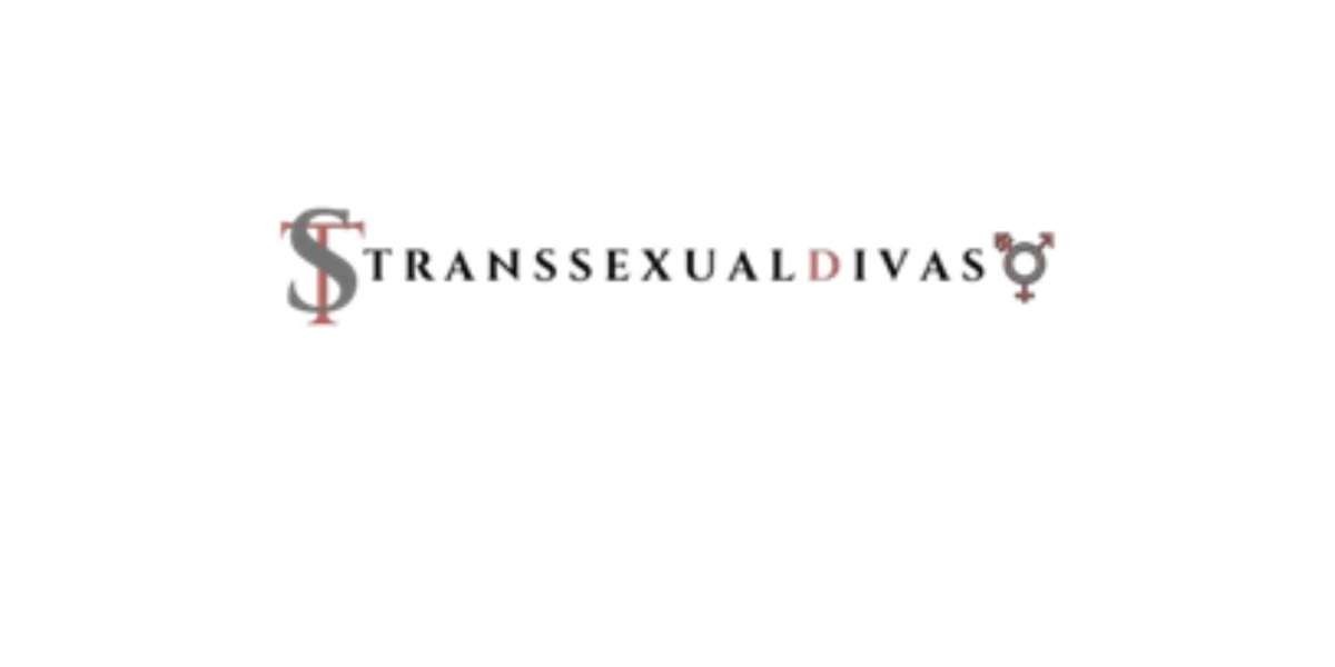 Escorts Trans Barcelona: Perfiles Reales y Citas Privadas con Discreción y Elegancia